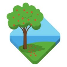 Compare Reviews, Prices & Costs of Lingual Braces in Dyfed at Herbrandston Dental Health Practice | M-UN1-76