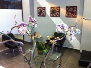 Dental Care Marbella