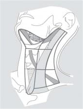 Compare Reviews, Prices & Costs of Head and Neck Cancer Treatment in Coimbatore at Advanced Center for Head & Neck Surgery | M-IN4-7