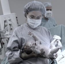 Prof Dr Nilgun Turhan