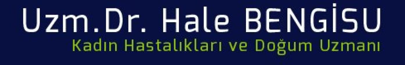 Dr. Hale Bengisu
