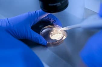 Ingenes Instituto de Fertilidad y Genética