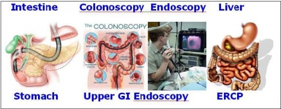 Gastro and Liver Specialist