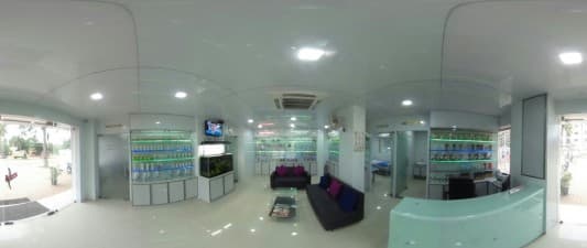 Revive Aesthetic Clinic- Bangalore