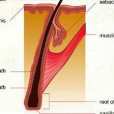 Dr. R. K. Joshi - Allergy Clinic and Cosmetology
