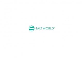 Salt World