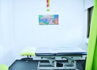 The Orthopedic Clinic