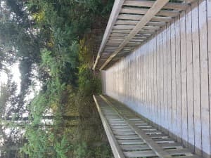 Dr. Maria Georgiou Shippi