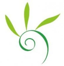 Compare Reviews, Prices & Costs of Chiropractic Treatment in Ireland at Malou Acupuncture Counselling | M-DI-119