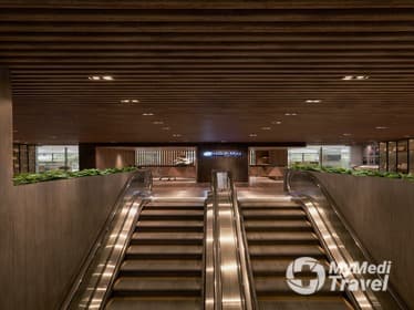 Compare Reviews, Prices & Costs of Root Canal in Vietnam at Minh Thu Dental Clinic | 59264C