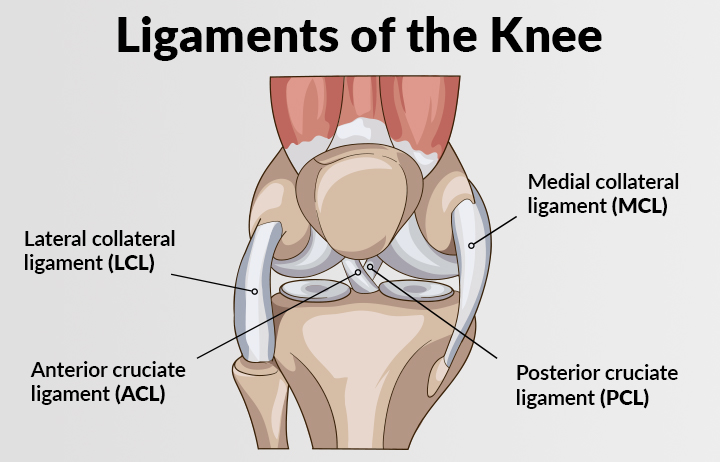 Can You Still Walk With A Torn Mcl Or Acl 10 Best Clinics For Knee Ligament Surgery Mcl In Hungary 2020 Prices